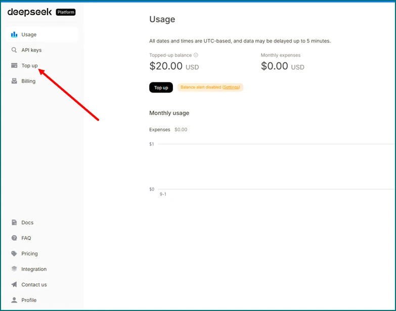 API DeepSeek