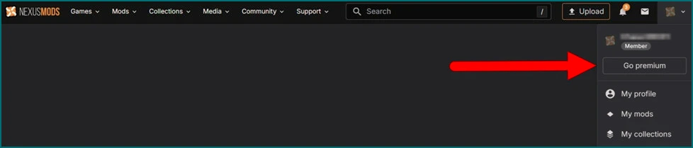 Nexus Mods