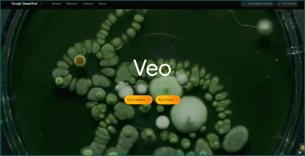 Veo
