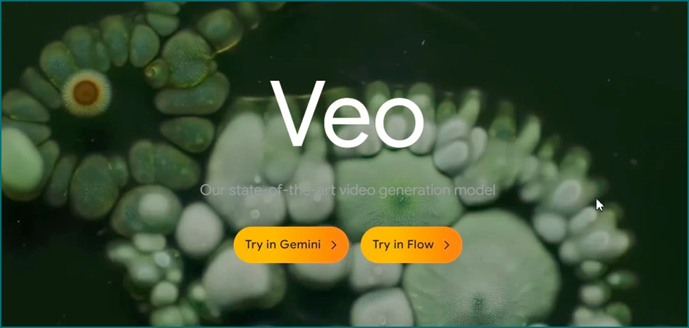 Veo